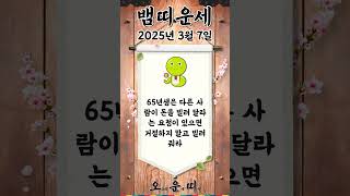오늘의 뱀띠 운세 2025년 3월 7일 #뱀띠 #오늘의운세 #내일의운세 #운세 #운세쇼츠