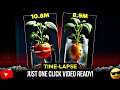 How to create Vegetables germination time lapse video with Ai 🌱| Plant Time lapse video kaise banae