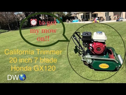 California trimmer 20 inch 7 blade - follow up with reel mowing
