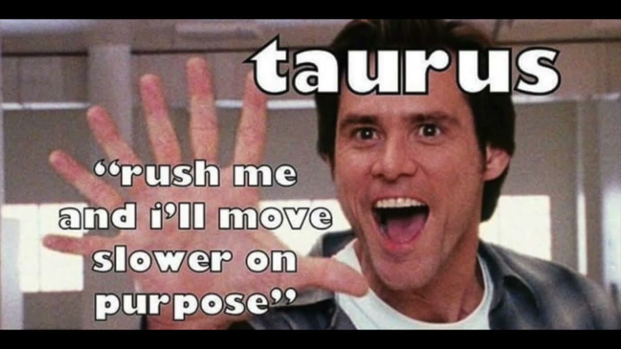 50 Taurus Memes - Funny Taurus Meme Compilation - YouTube