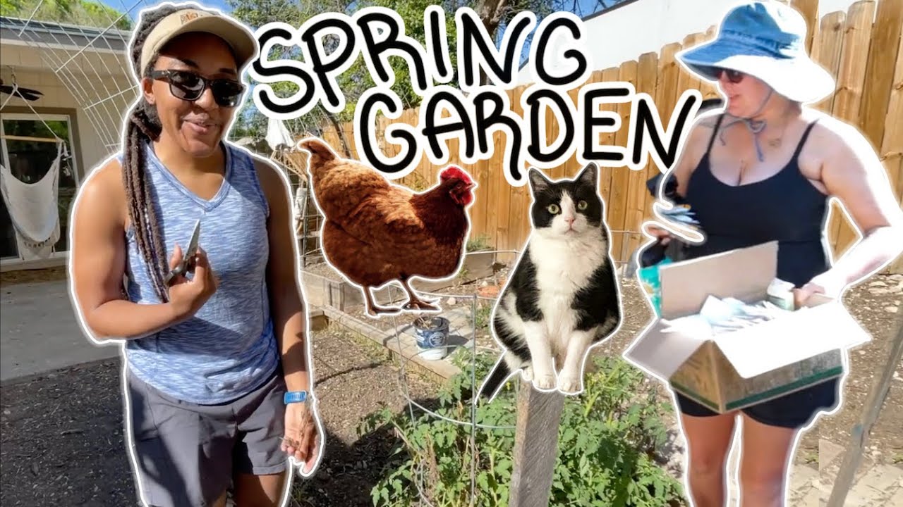 finally starting the garden from scratch | san antonio vlogger