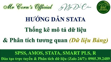 STATA Dữ liệu Bảng | Thống kê mô tả dữ liệu & Phân tích tương quan 30102025 Ngô Đức Chiến #Chiến