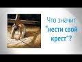 Что значит нести свой крест? (Матфея 16:24)