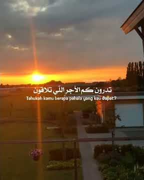 Maher Zain -Tadroon || sholawat tadroon || Story wa