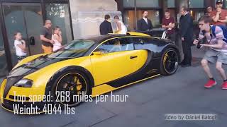 Top 10 Fastest Cars in the World 2019