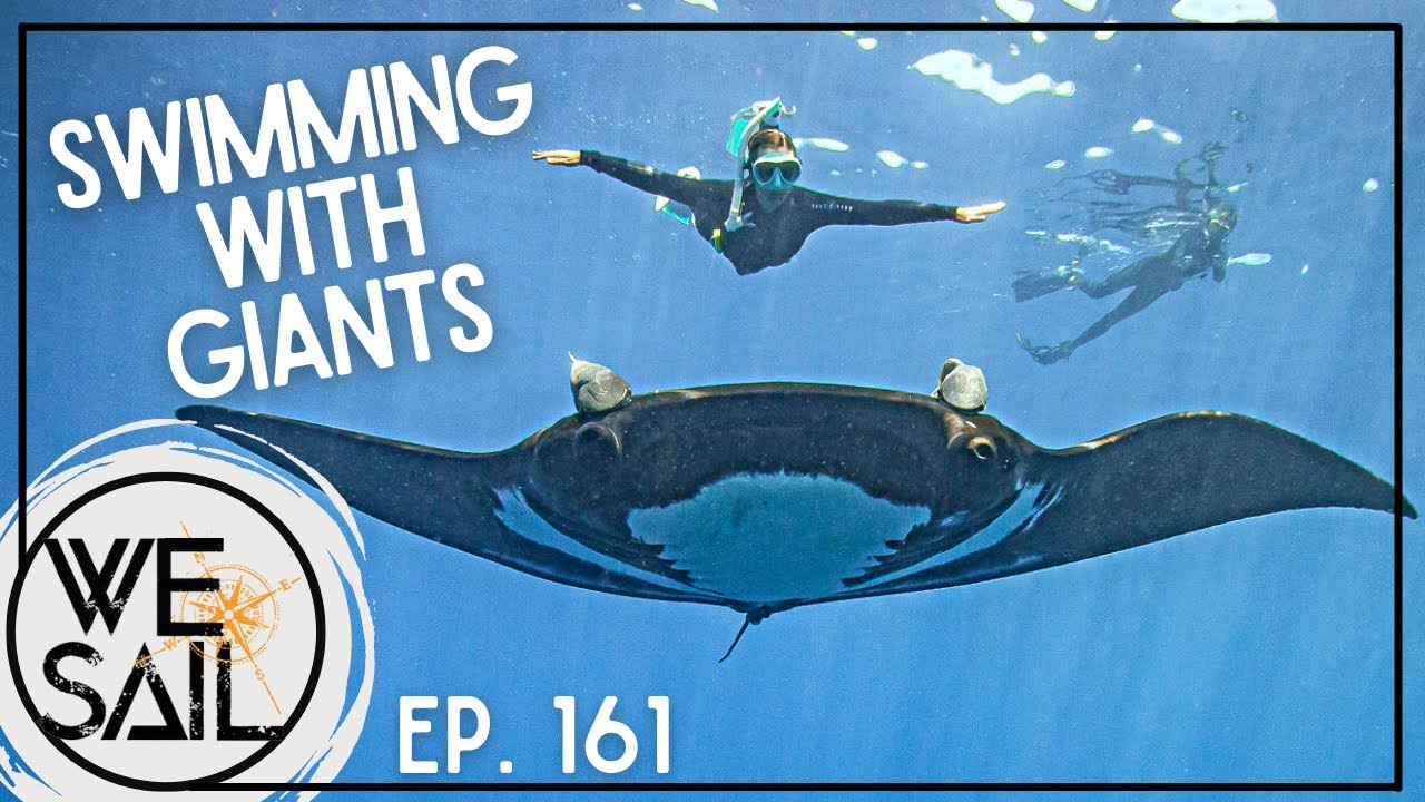 Swimming with Giants in The Revillagigedos | Episode 161