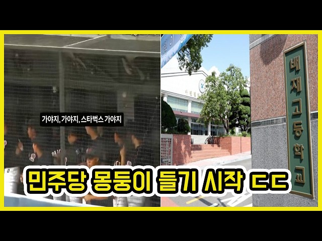 민주당 배재고 야구단 해체 검토 ㄷㄷ | 도람뿌