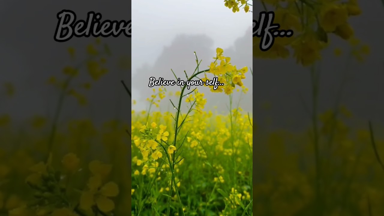 believe in your self 