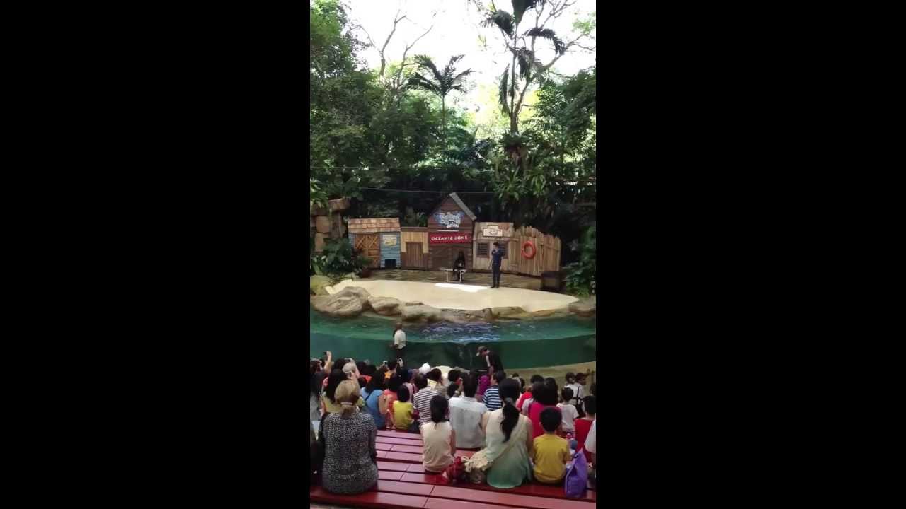 RBT - zoo2013.........