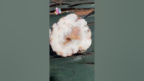 Cut a geode ￼#￼geology #rockhound #crystals ￼