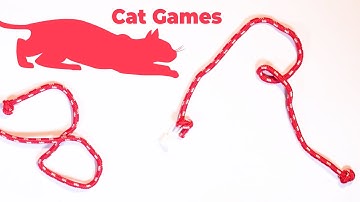 CAT GAMES 😻 STRING STRING THING FOR CATS!
