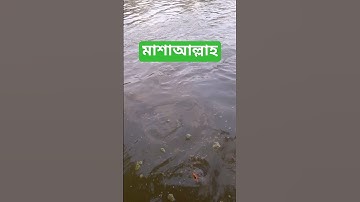 SURAH AL-KAWTHAR 🗣️ سورۃ الکوثر @mohammadsourabh #surahkawthar #سورة_الكوثر #egzonibrahimi