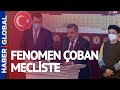 Fenomen Çoban Mecliste