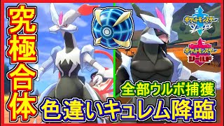 ポケモン剣盾 75 ウルボ色違いキュレム 究極合体 ブラックキュレム ホワイトキュレム いでんしのくさびを入手 メイルス Youtube