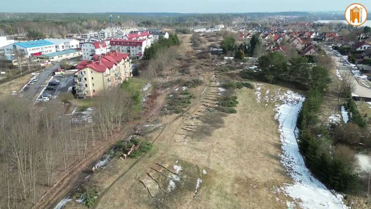 Olsztyn. Wycięli drzewa pod budowę ul. Nowobałtyckiej. Ratusz zapowiada nasadzenia kompensacyjne