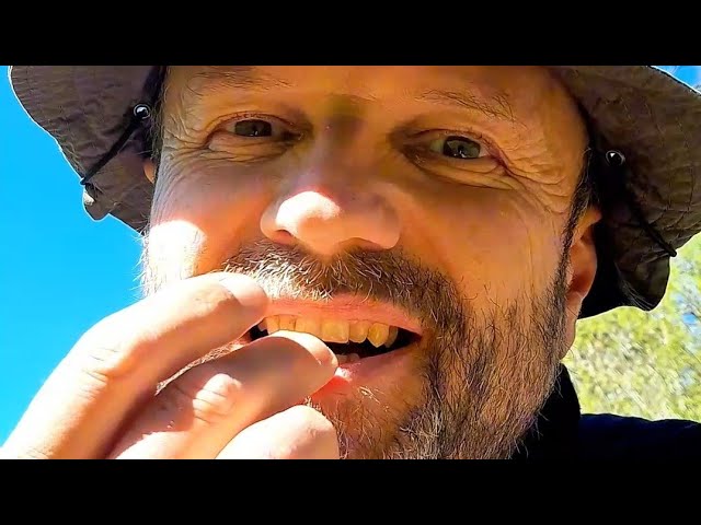 Bushcraft Survival Kräuter Wasser wandern