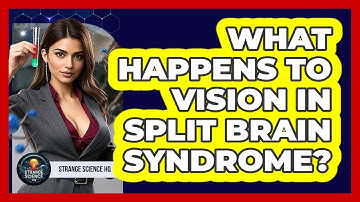 What Happens To Vision In Split Brain Syndrome? - Strange Science HQ