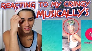 Reacting To My Cringey Musicaly - Flamingeos