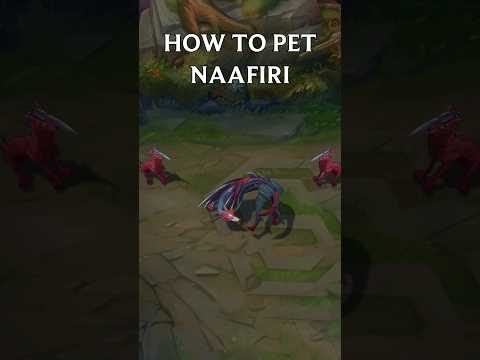 How to give Naafiri the good pets