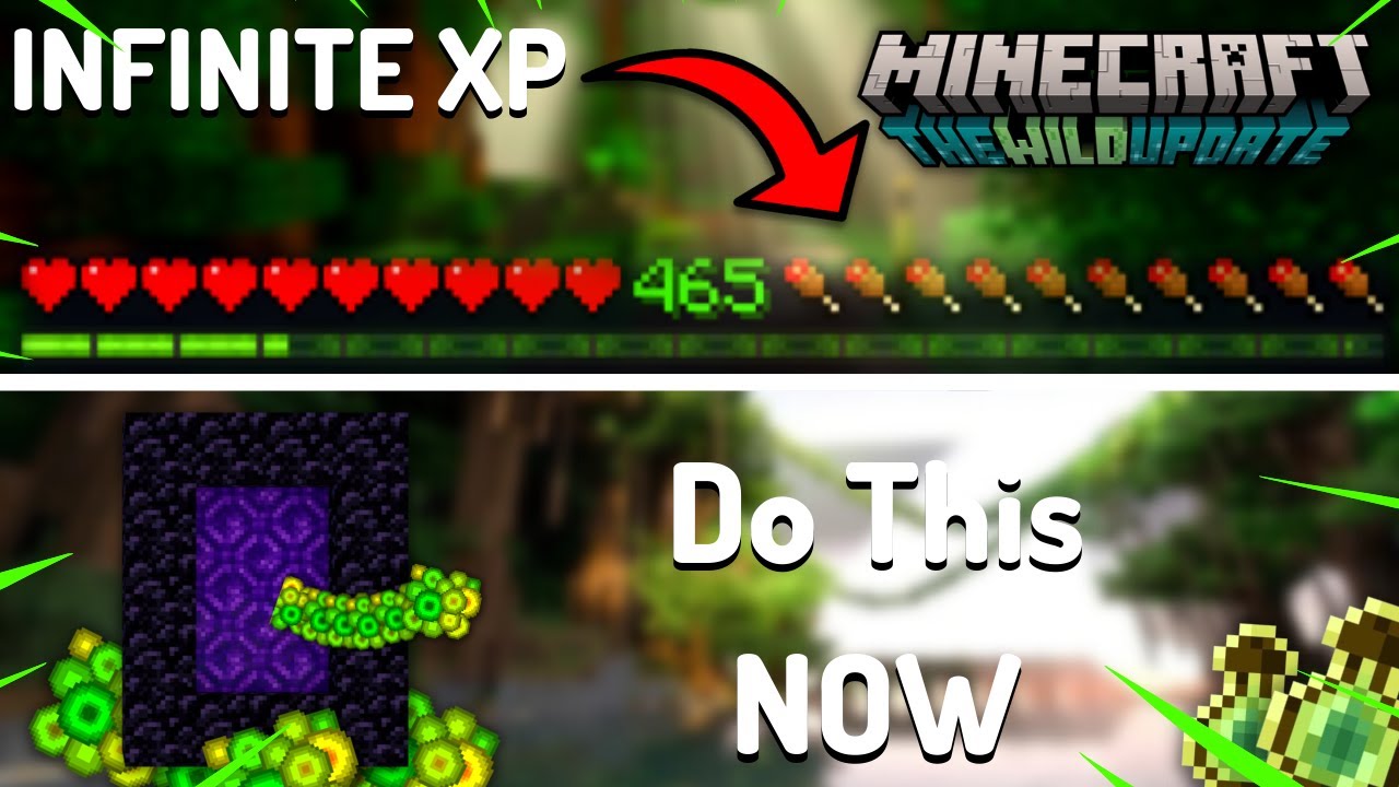 [1.19] INFINITE XP Duplication Glitch in Minecraft BEDROCK & JAVA ...