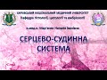 Серцево-судинна система. Гістологія