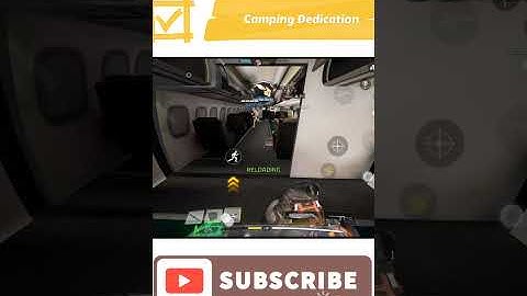 When you dedicate yourself to camping shorts