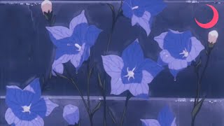Body Meat - ULTIMA {Slowed + Reverb}