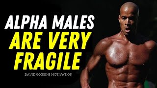 David Goggins Motivation - Most Alpha Males Are Very Fragile (Best Motivational Video)