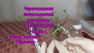 :    . 1.21.02.25