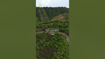 #فارس_عباد الآية 78 من سورة النحل