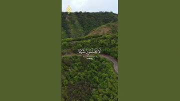 #فارس_عباد الآية 78 من سورة النحل