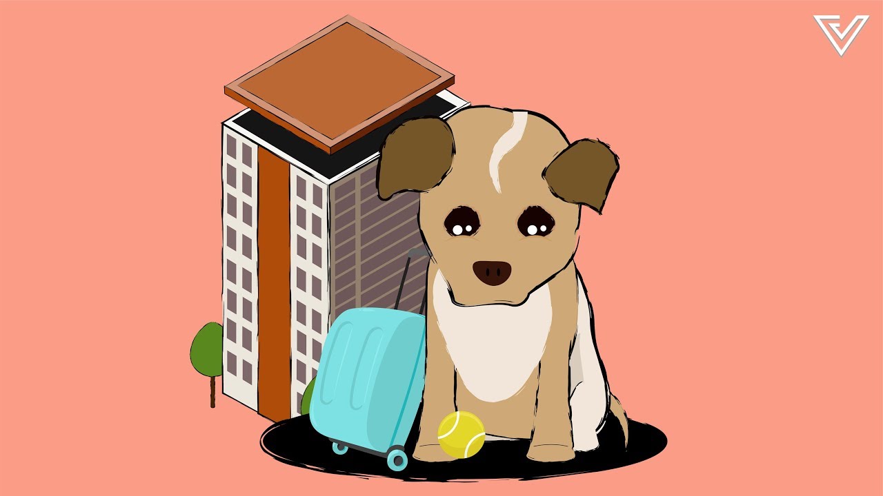 Are Dogs Allowed In Singapore Condos