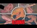 REANIMAL - All Secrets Exposed in Full Bright Mode