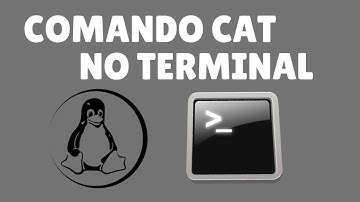 COMO USAR O COMANDO CAT NO TERMINAL LINUX