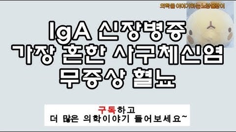 IgA Nephropathy(IgA 신장병증): 무증상 혈뇨 사구체신염
