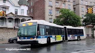 MTA New York City Bus: 2012 Nova Bus LFS Articulated 5285 & 5337 on the Bx1 Limited Bus.