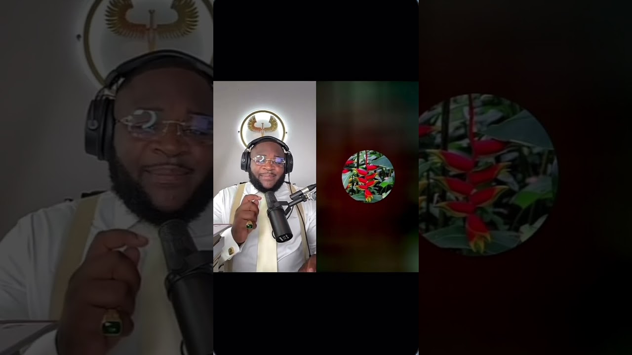 EXHORTATION DE L’ÉGLISE 🪔 03/19/2025