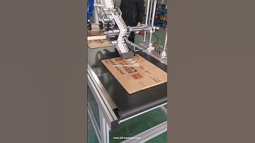 Big carton automatic paging feeding machine with labeling machine testing video