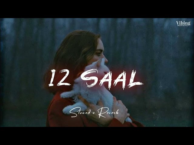 12 Saal - Bilal Saeed [ Slowed + Reverb ] class=