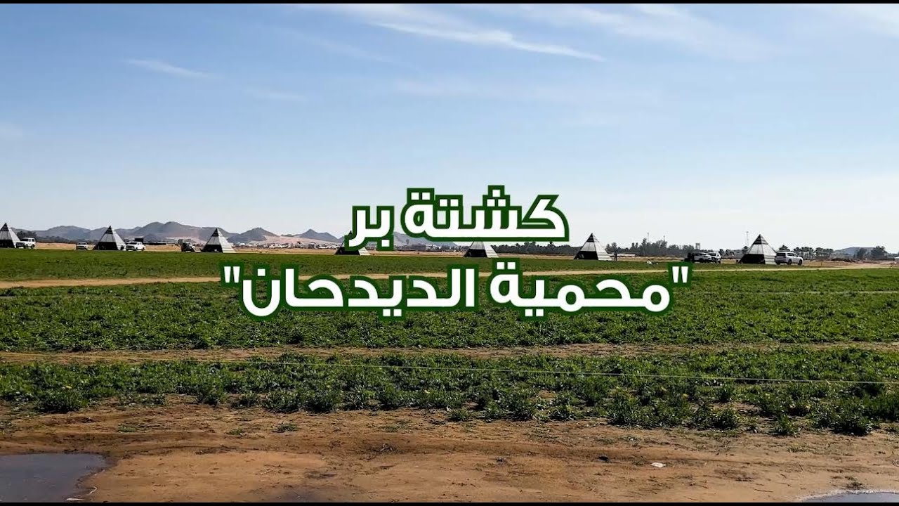 أول كشتة برية مع خواتي ضحك 😂 | طبخ 🍳 | وناسة ⛺️ | أجواء خرافية 🔥