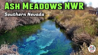 Ash Meadows National Wildlife Refuge in Southern Nevada