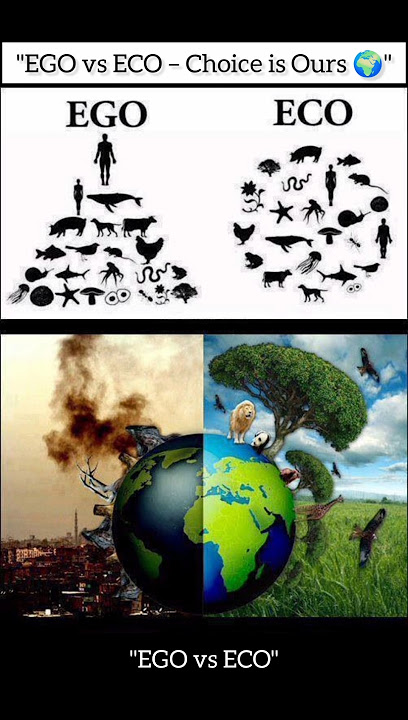 'EGO vs ECO'