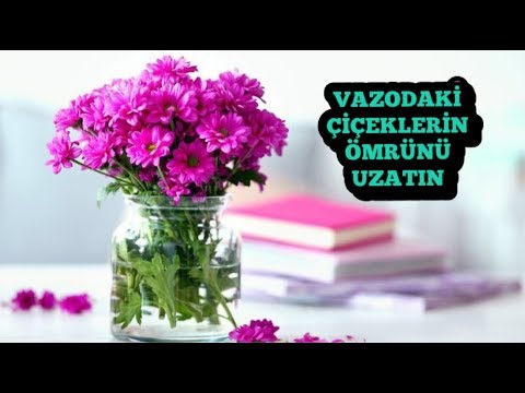 VAZODAKİ ÇİÇEKLERİN ÖMRÜNÜ UZATMAK İÇİN NE YAPMALIYIZ ?