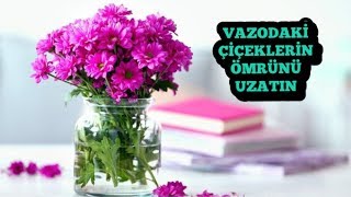 VAZODAKİ ÇİÇEKLERİN ÖMRÜNÜ UZATMAK İÇİN NE YAPMALIYIZ ?