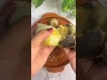 Raw mango chutney cooking recipe #shortsfeed # youtube short