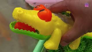 Fishing for betta fish, catfish, carp, ornamental fish, lobster, duck, rabbit, bird, turtle.part409