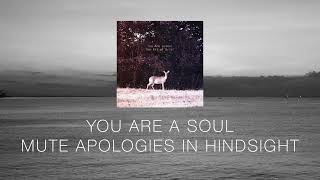 Mute Apologies in Hindsight | Ambient Post-Rock Visual