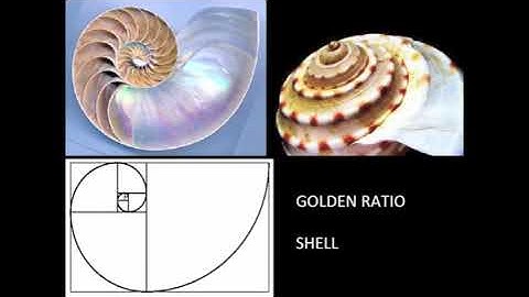 History of Arch   Lecture 06   Greek Architecture Part 1