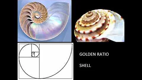 History of Arch   Lecture 06   Greek Architecture Part 1