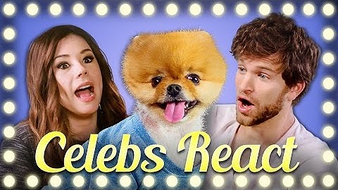 CELEBS REACT TO HOWTOBASIC